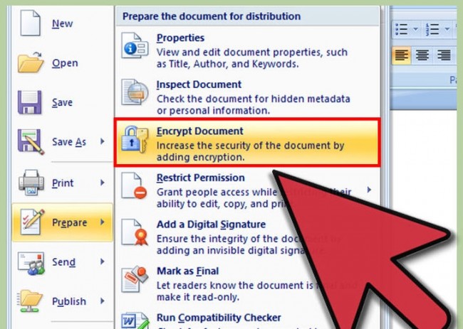 password protect Microsoft Word and Excel