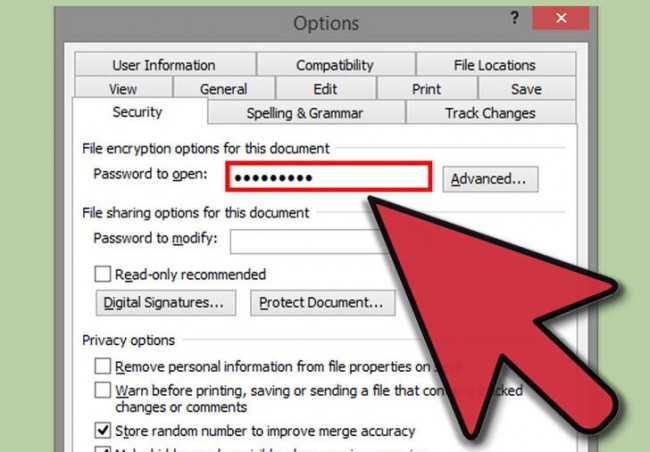 password protect Microsoft Word and Excel