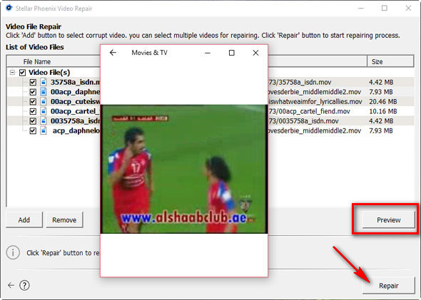 preview and repair corrupt video files